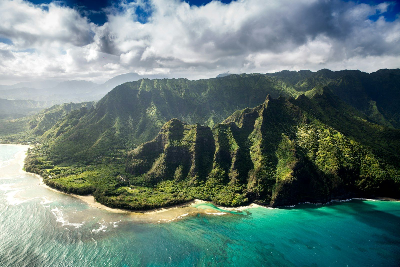 Amaral Tree Care & Agroforestry | Kauai County, HI
