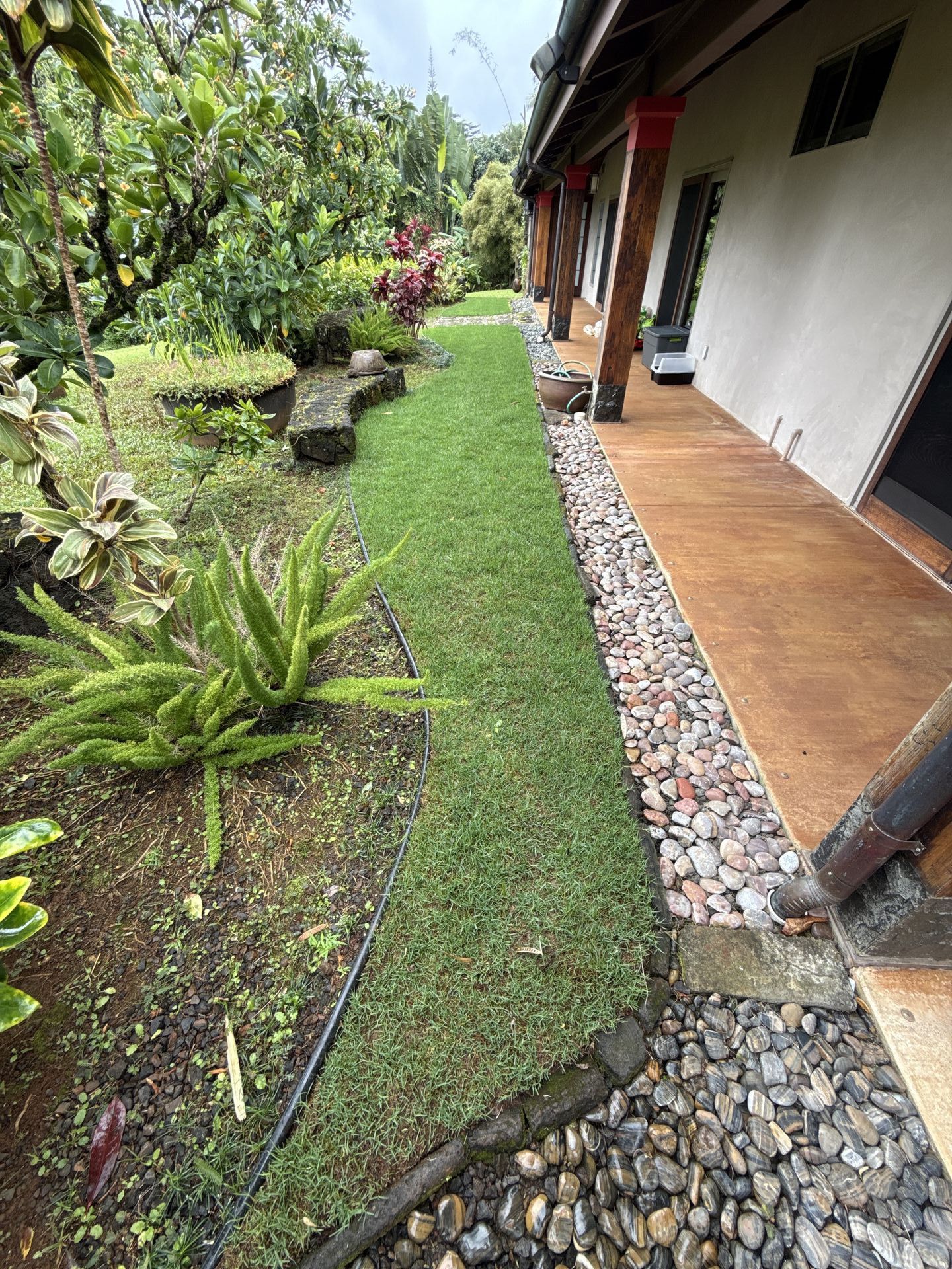 Grass Cutting