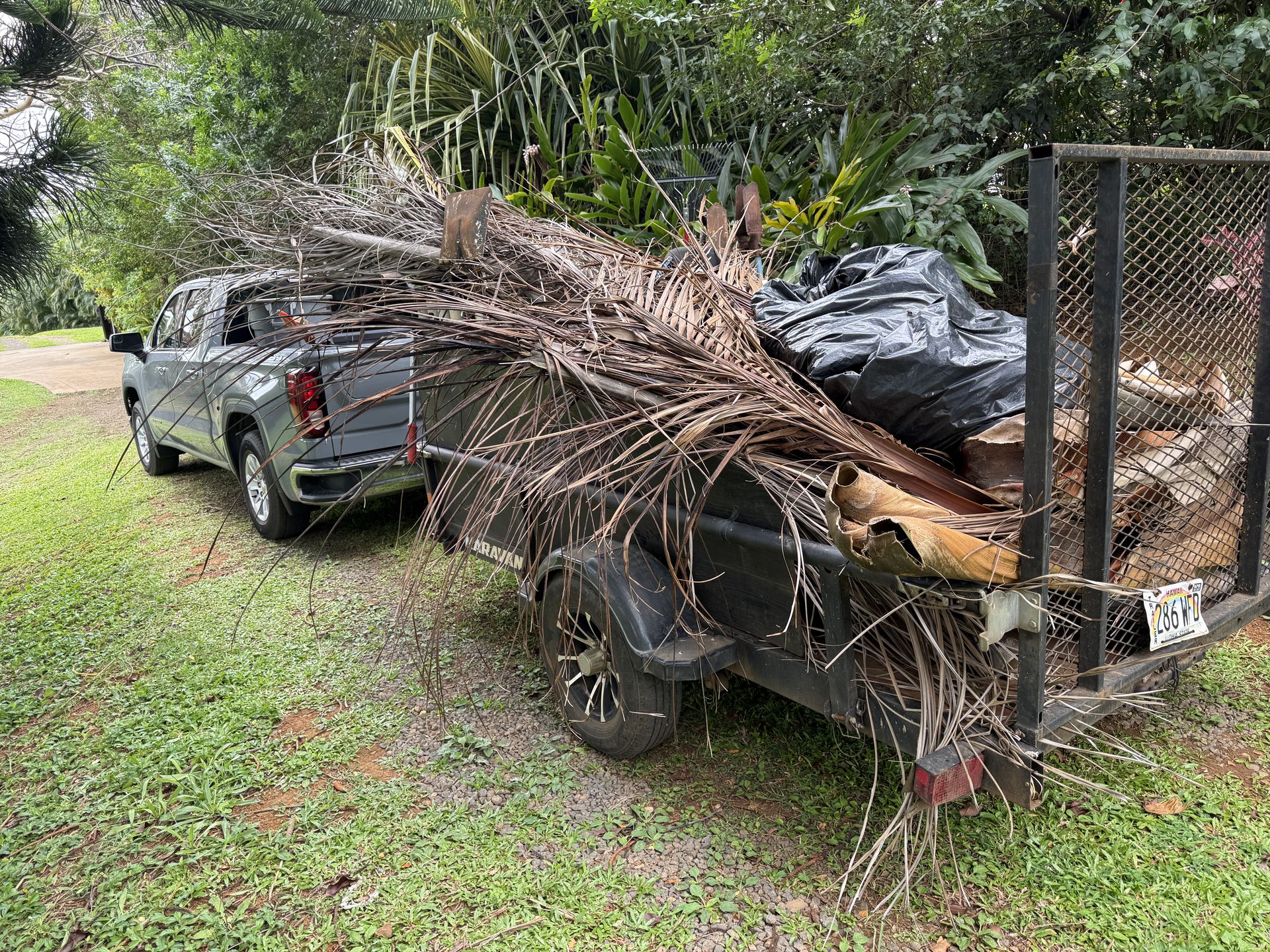 Yard Cleanup