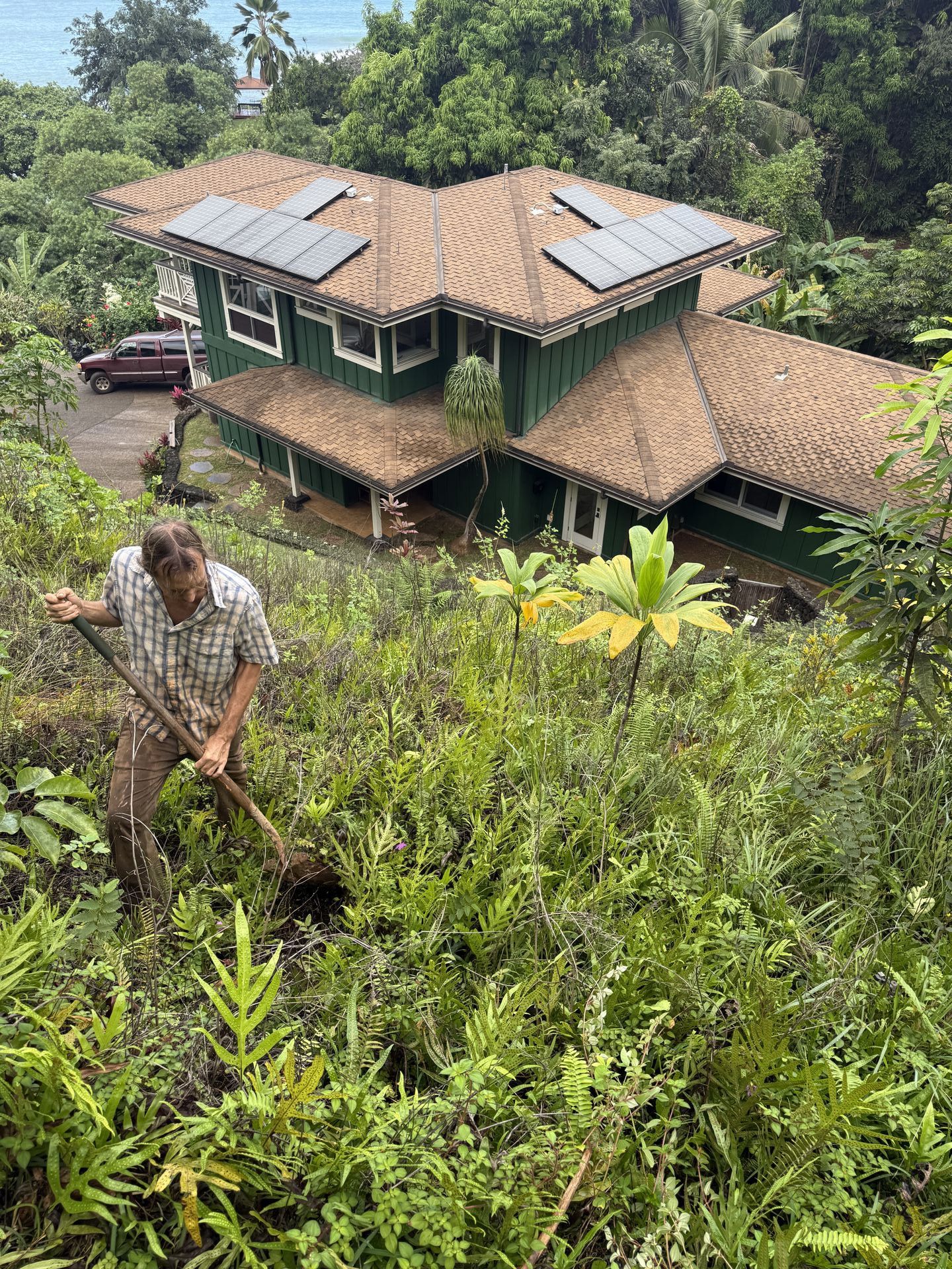 Amaral Tree Care & Agroforestry gallery photo