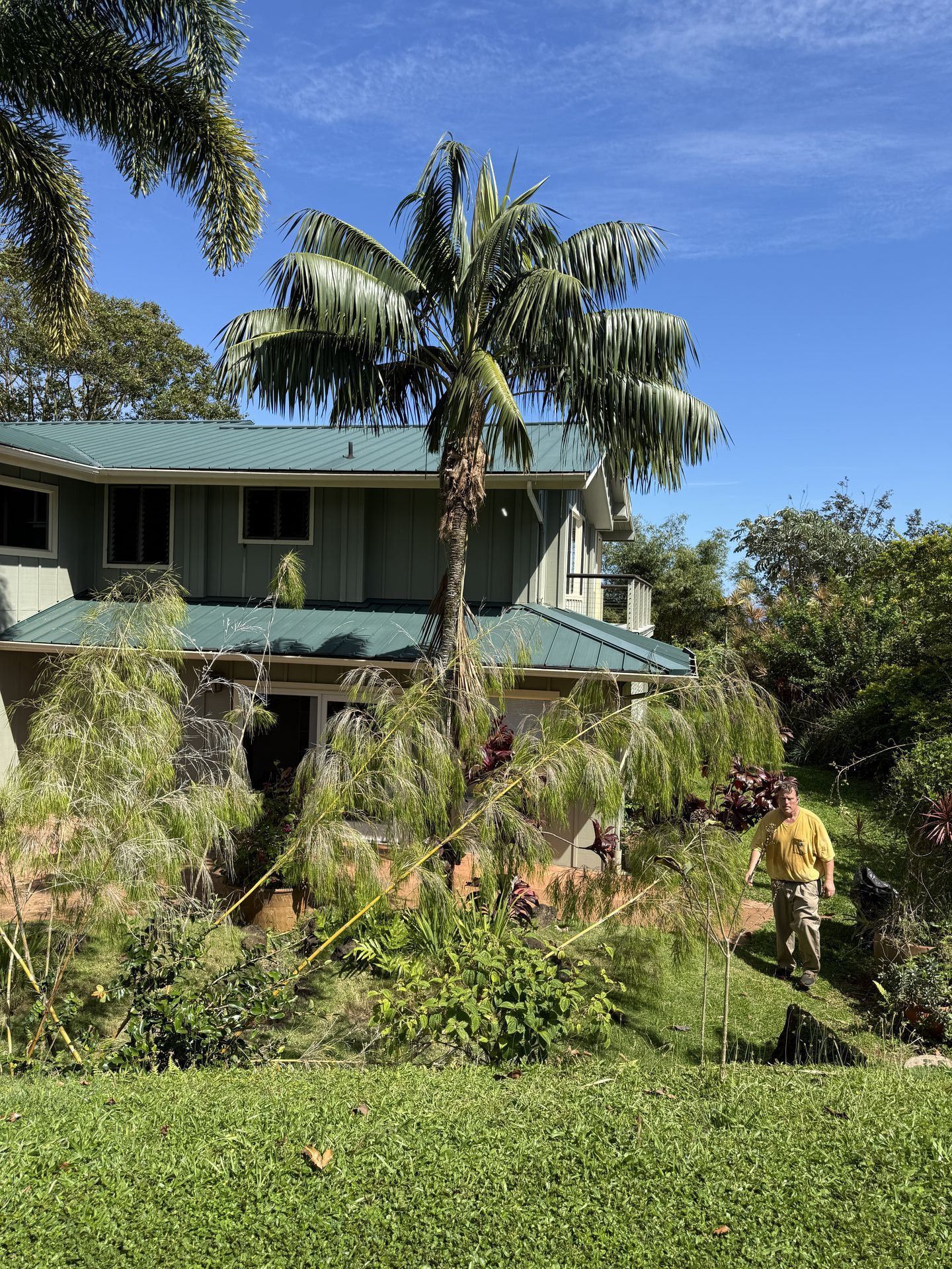 Amaral Tree Care & Agroforestry gallery photo