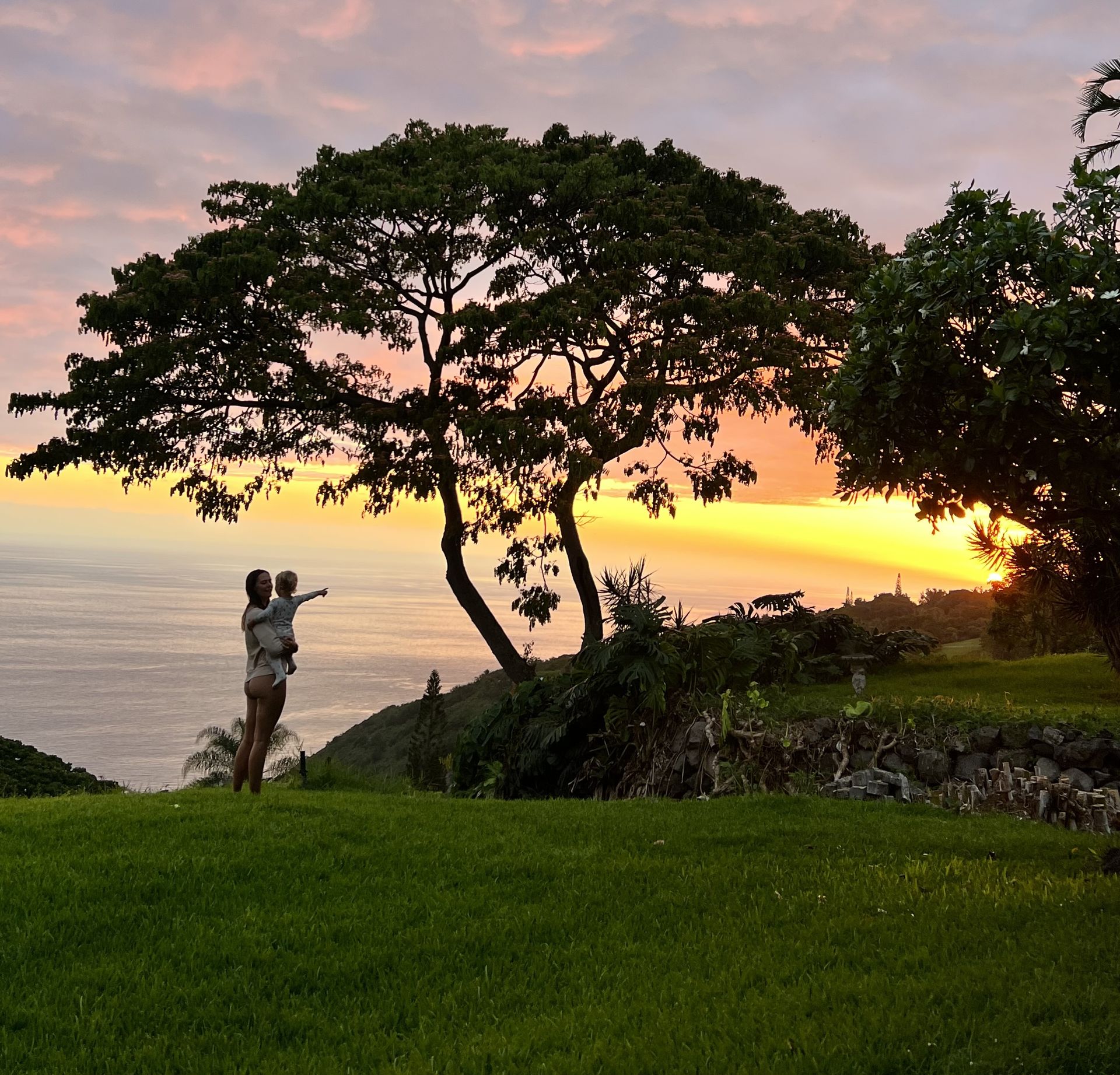 Amaral Tree Care & Agroforestry | Hanalei, HI