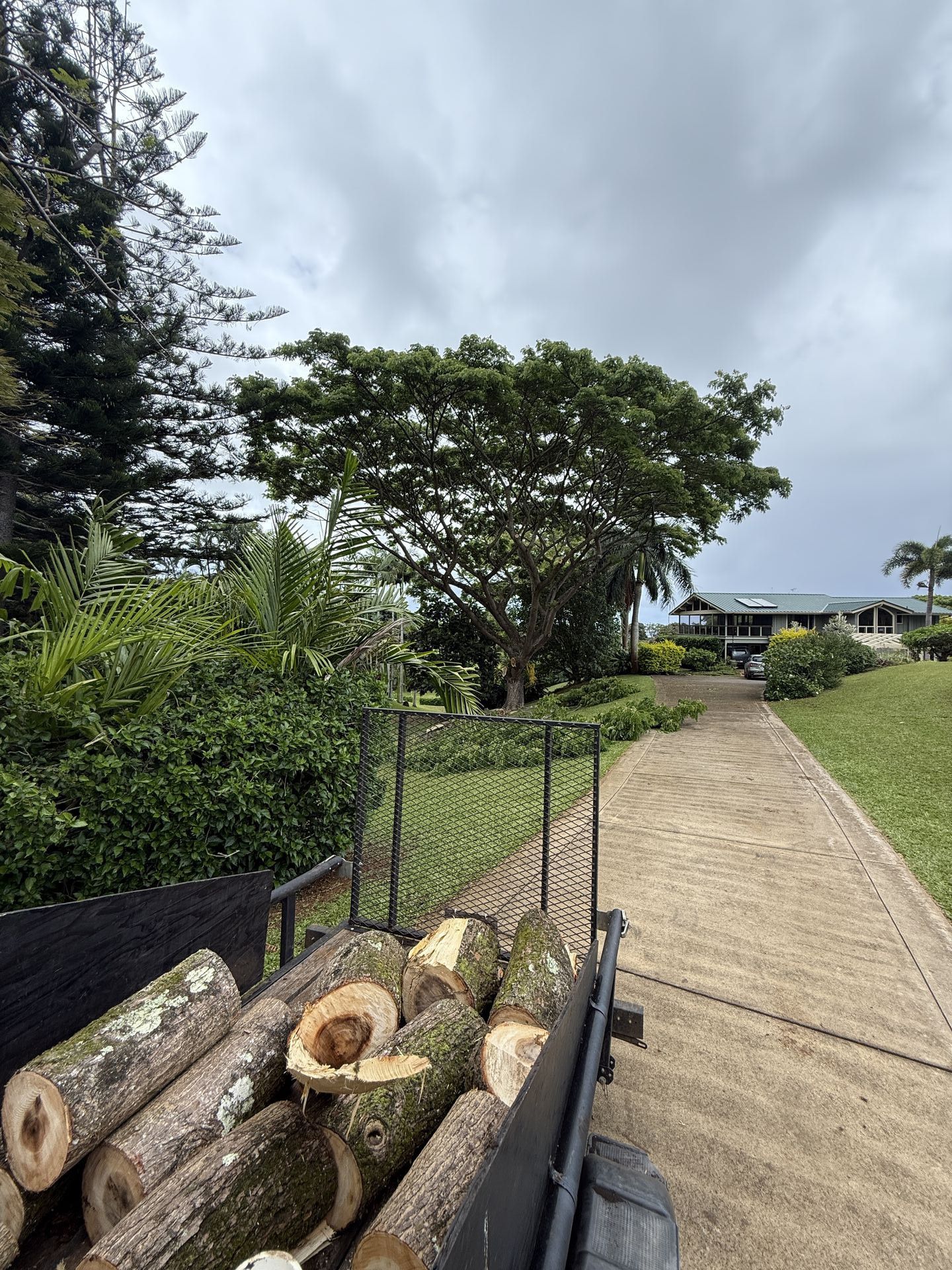Amaral Tree Care & Agroforestry gallery photo