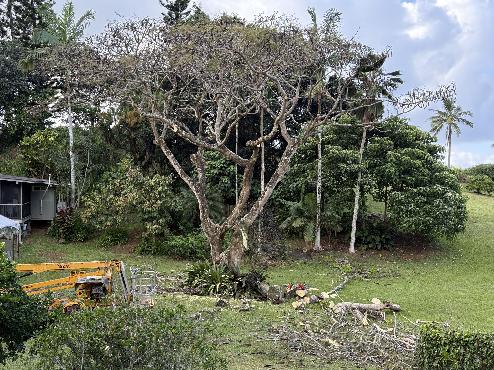 Amaral Tree Care & Agroforestry gallery photo