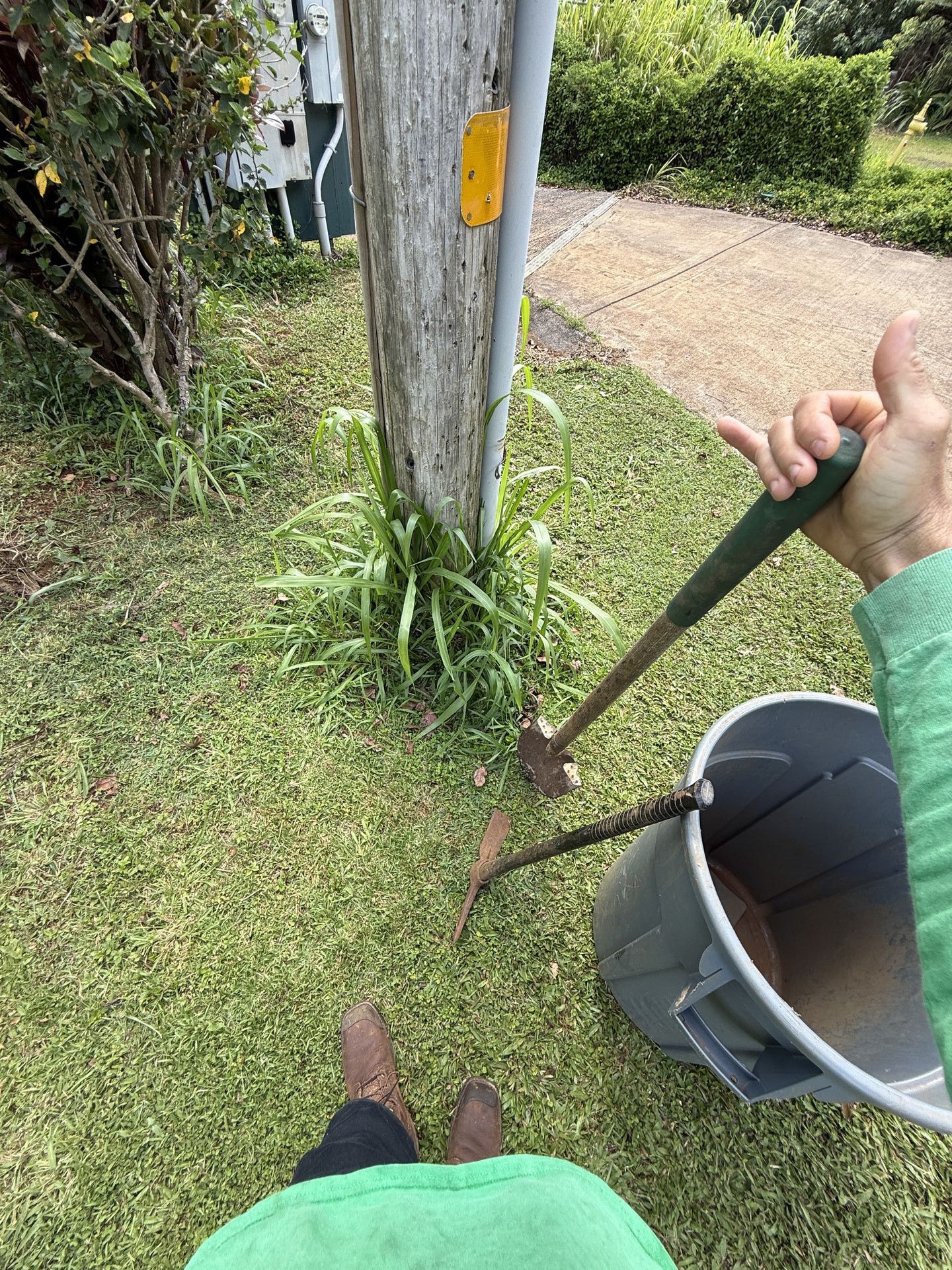 Amaral Tree Care & Agroforestry gallery photo