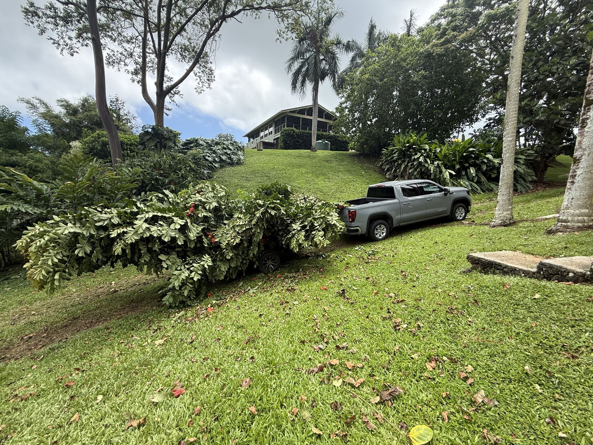 Amaral Tree Care & Agroforestry gallery photo