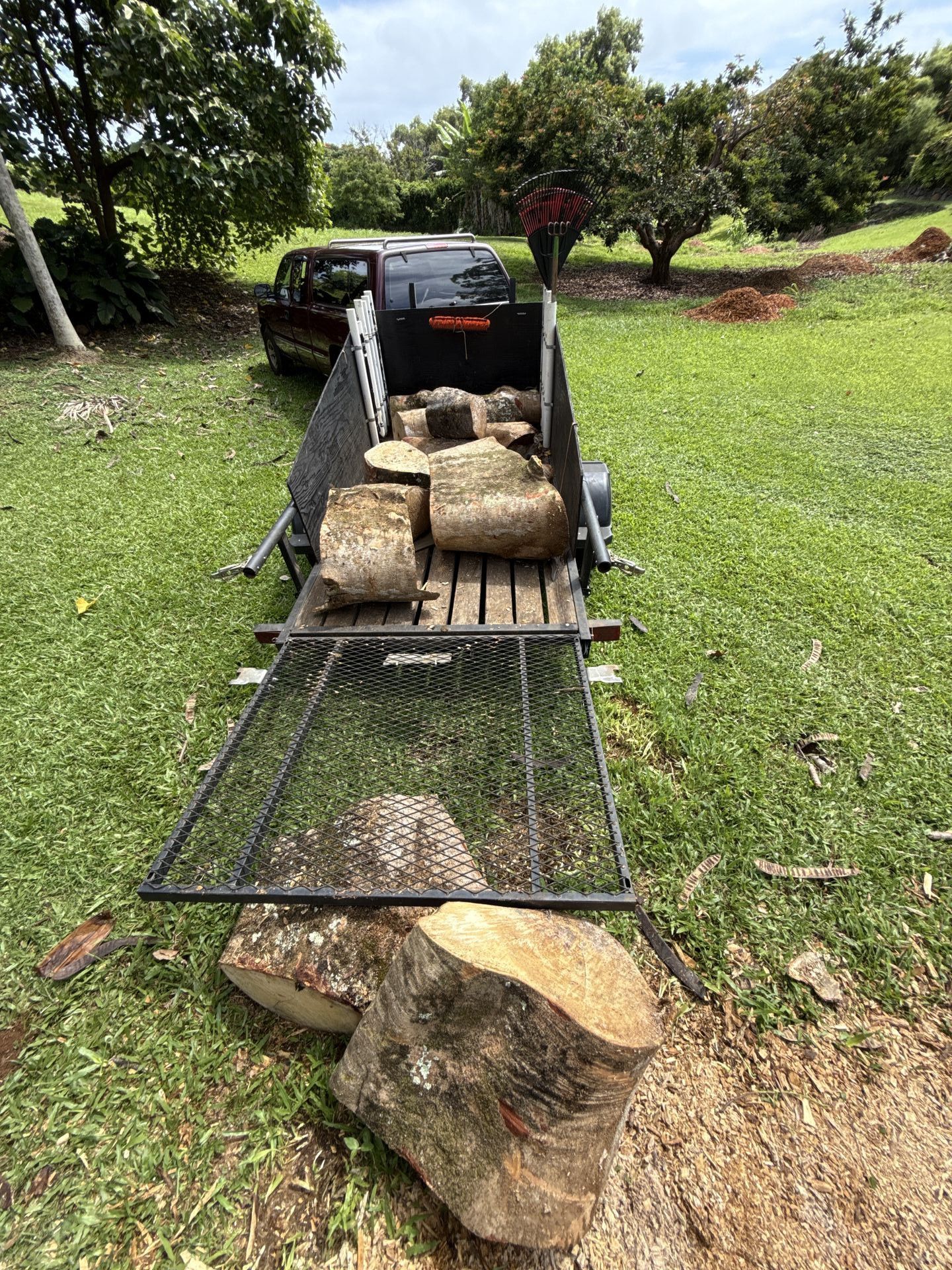 Amaral Tree Care & Agroforestry gallery photo